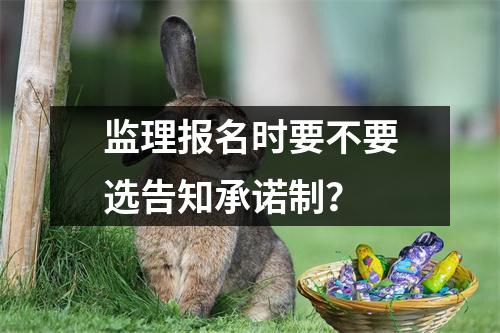 监理报名时要不要选告知承诺制？