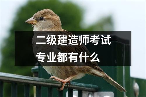 二级建造师考试专业都有什么