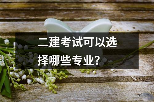 二建考试可以选择哪些专业？