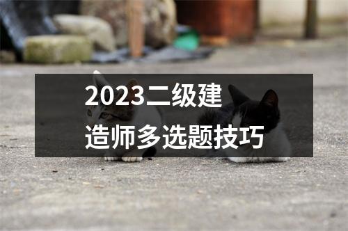 2023二级建造师多选题技巧